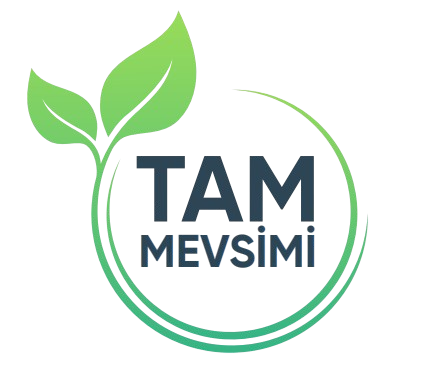 Tam Mevsimi